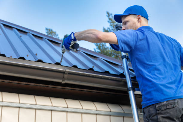 Best Skylight Installation and Repair  in Shenandoah, TX